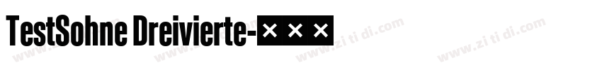 TestSohne Dreivierte字体转换